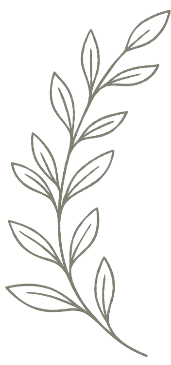 Daun