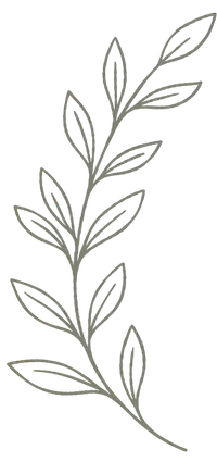 Daun
